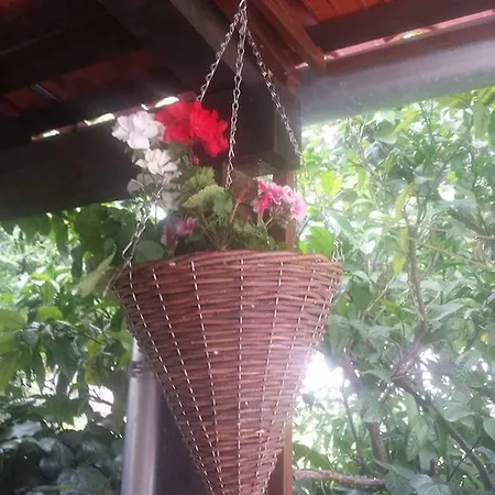 Angelo Center Of דירה