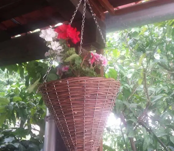 Angelo Center Of Lägenhet